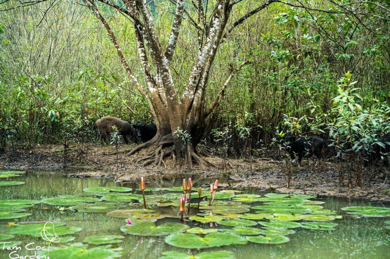 Tam Coc Garden Resort Ниньбинь Экстерьер фото