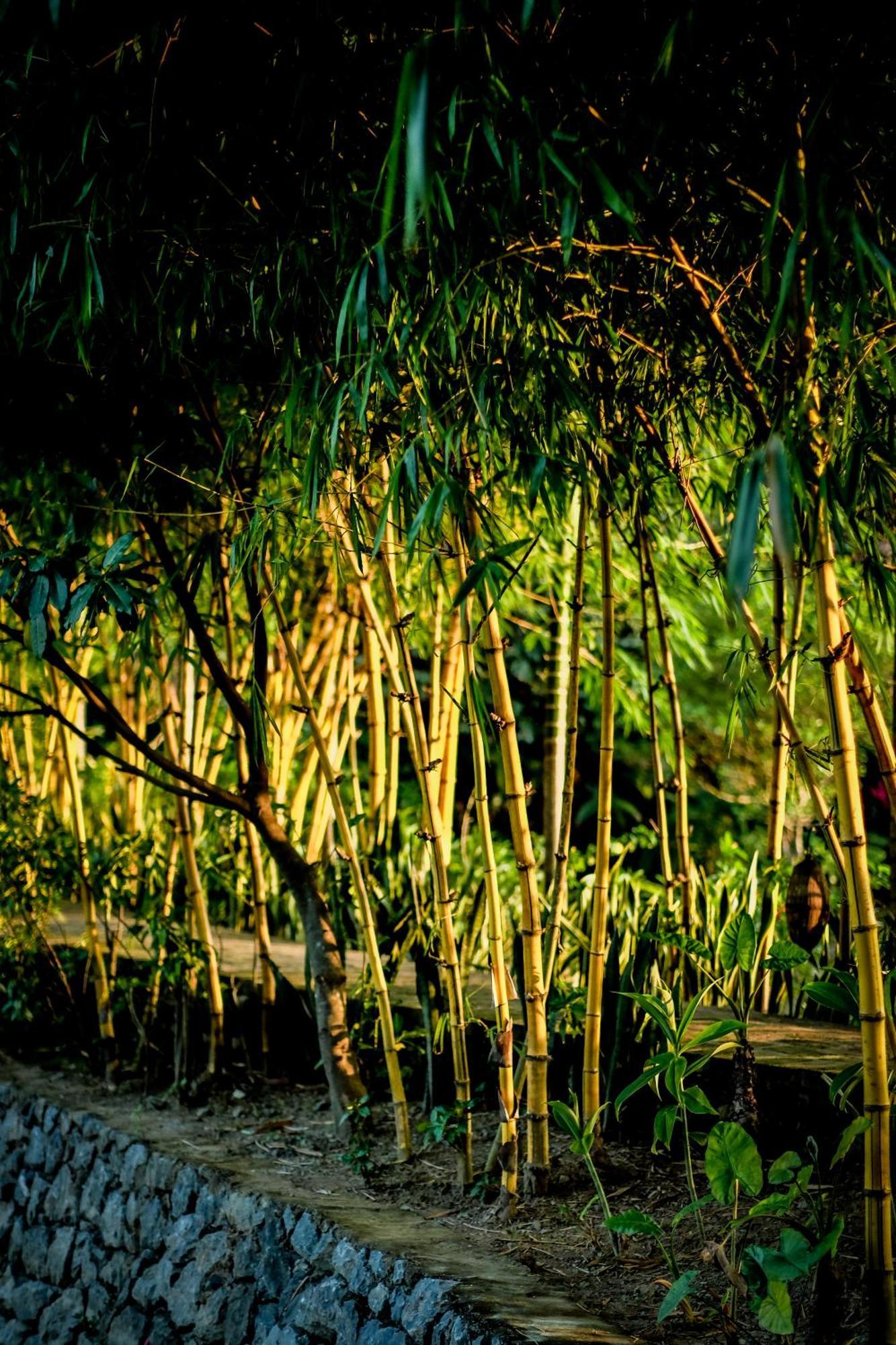 Tam Coc Garden Resort Ниньбинь Экстерьер фото
